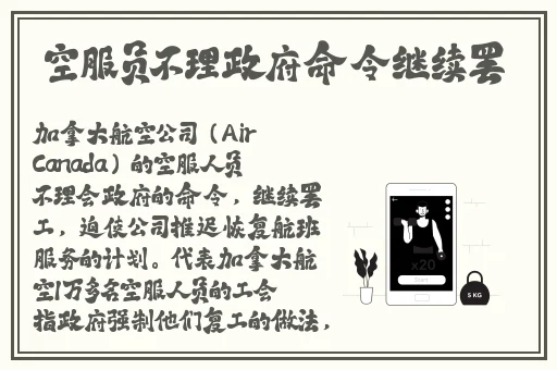 兔聊下载安装最新版本